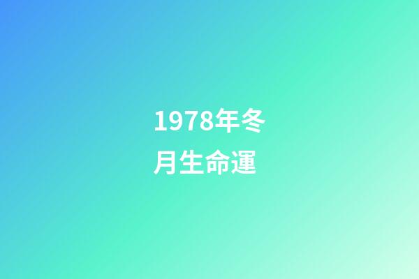 1978年冬月生命運 (1978年3月生命運)-第1張-觀點-玄機派